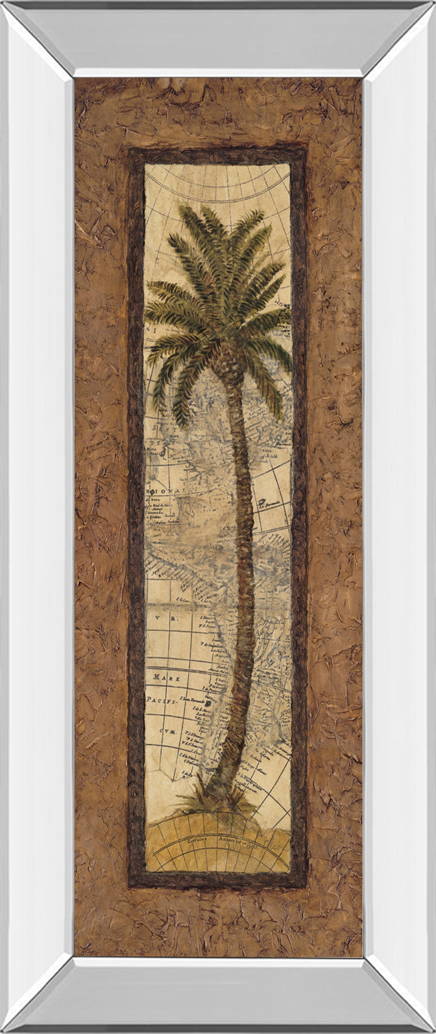Mirrored Frame Global View II By Charlene Olson