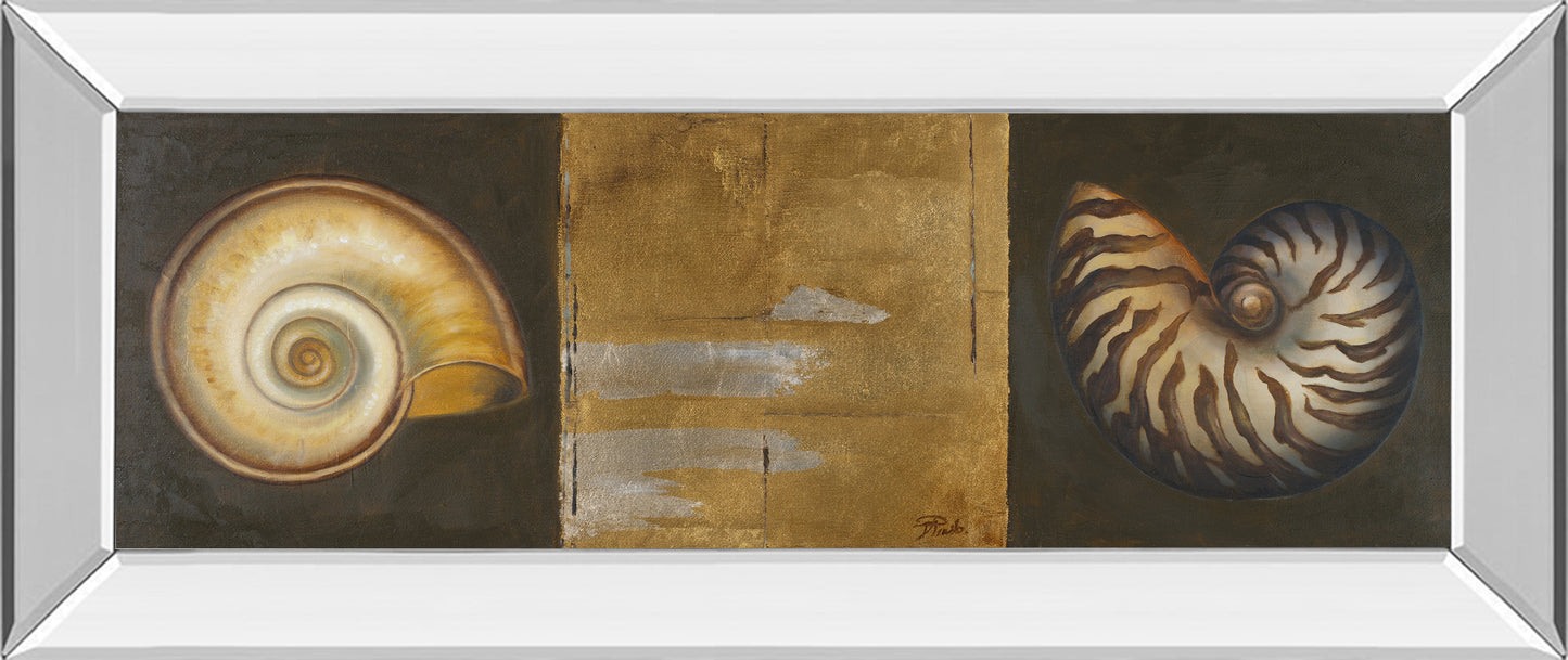 Mirrored Frame Seashells I By Patricia Pinto