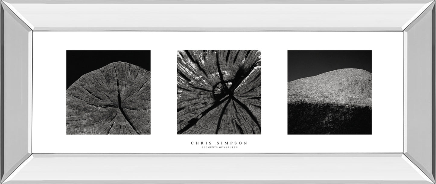 Mirrored Frame Eliments Of Nature 2 By Chris Simpson