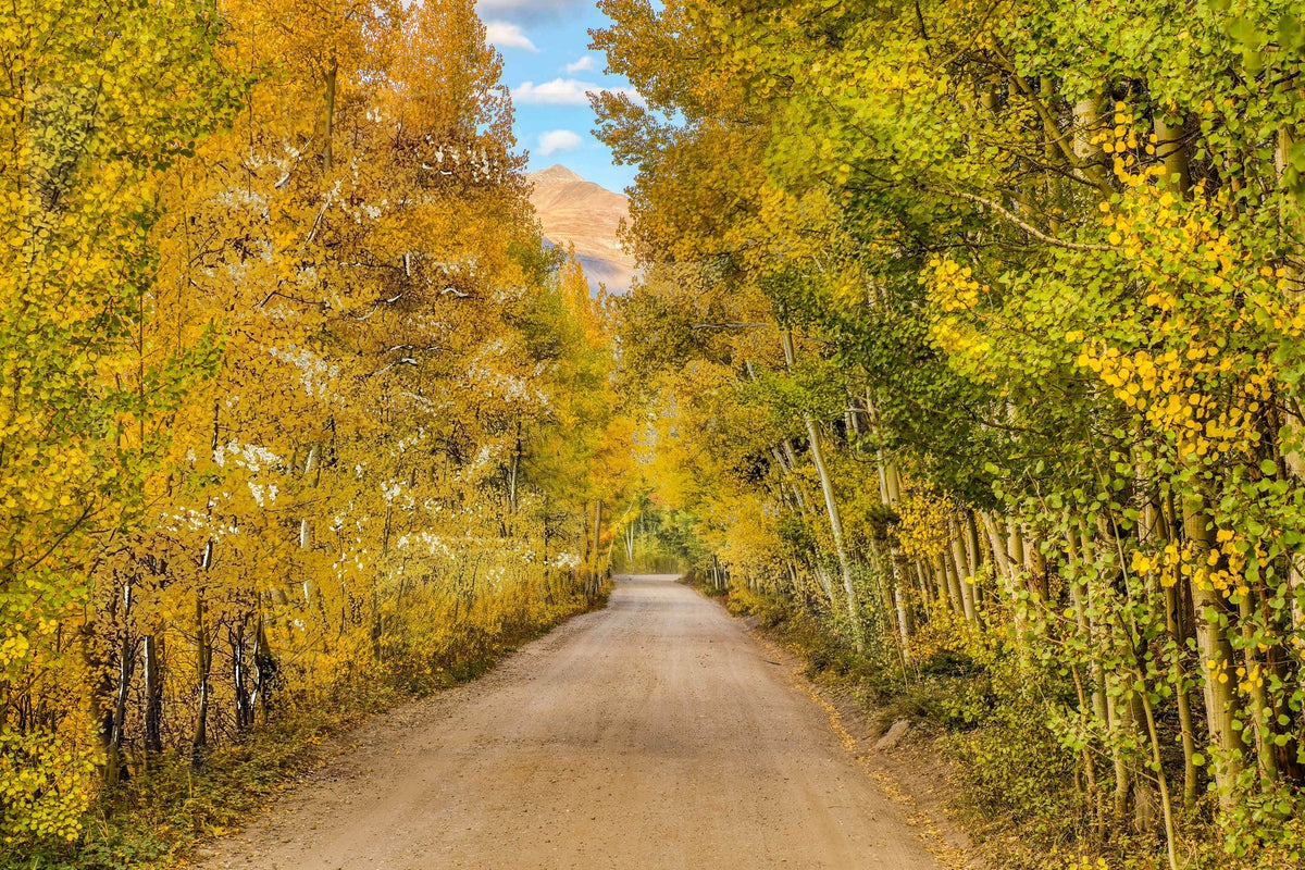 ''Aspen Road'' Tempered Glass