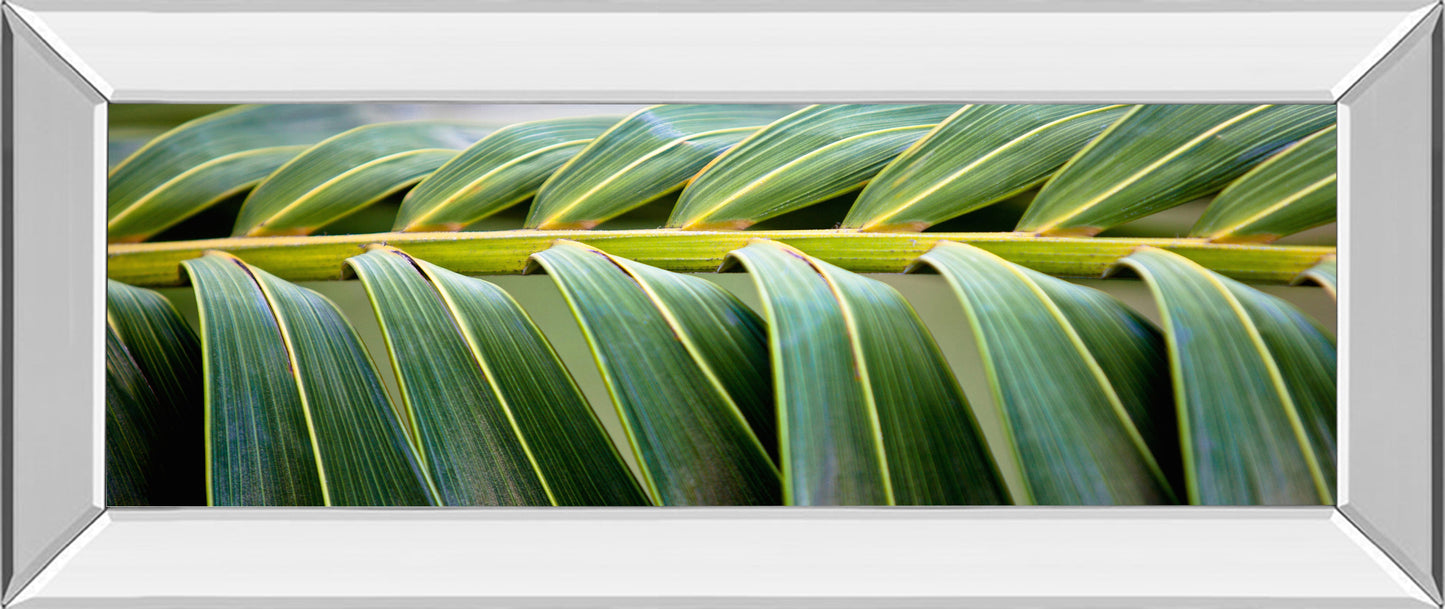 Mirrored Frame Palma I By Susan Bryant