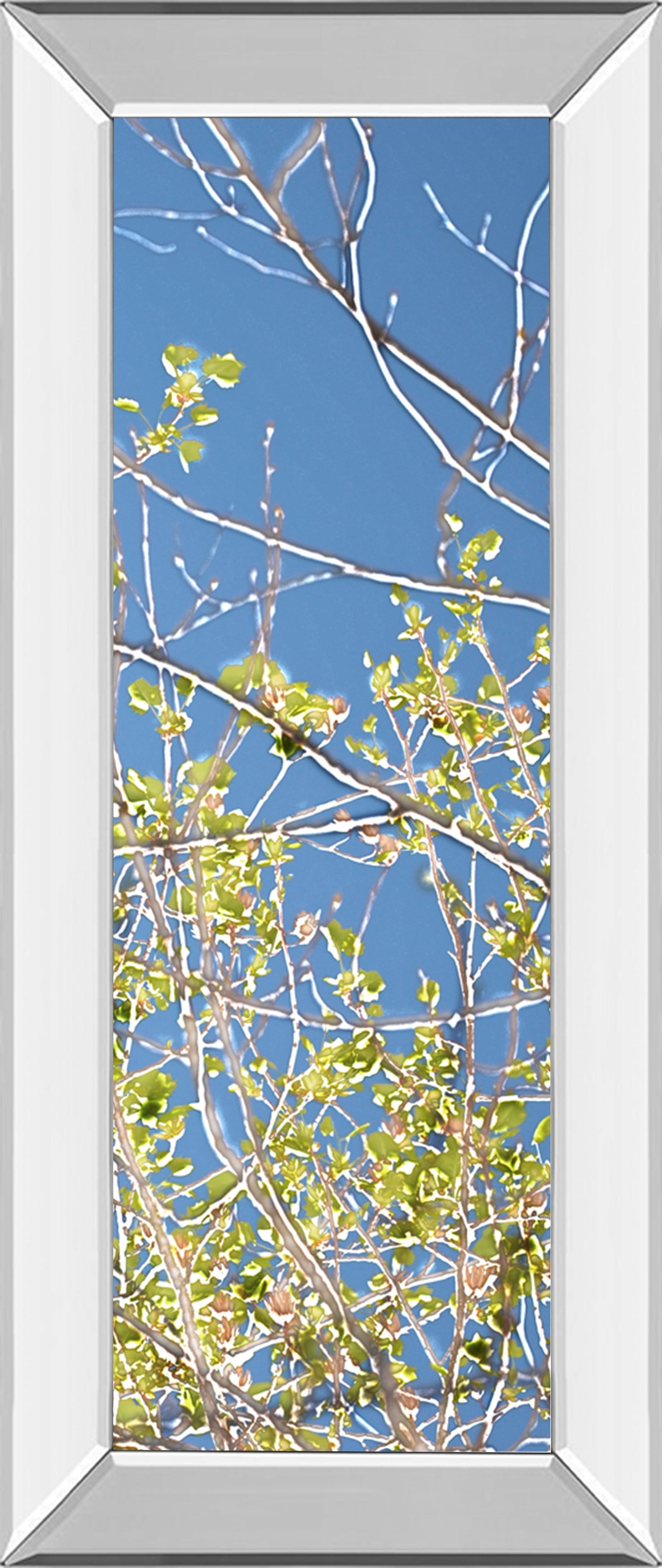 Mirrored Frame Spring Poplars IV By Sharon Chandler