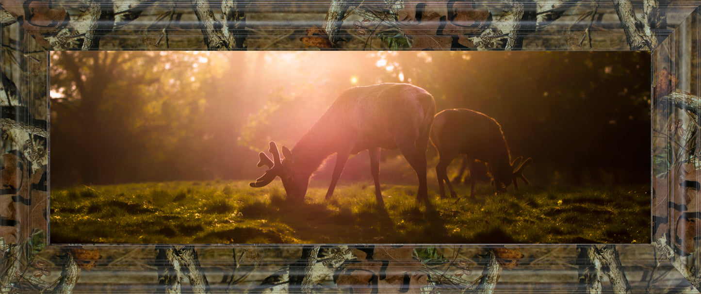 Morning Haze By Joe Reynolds ***Monl***