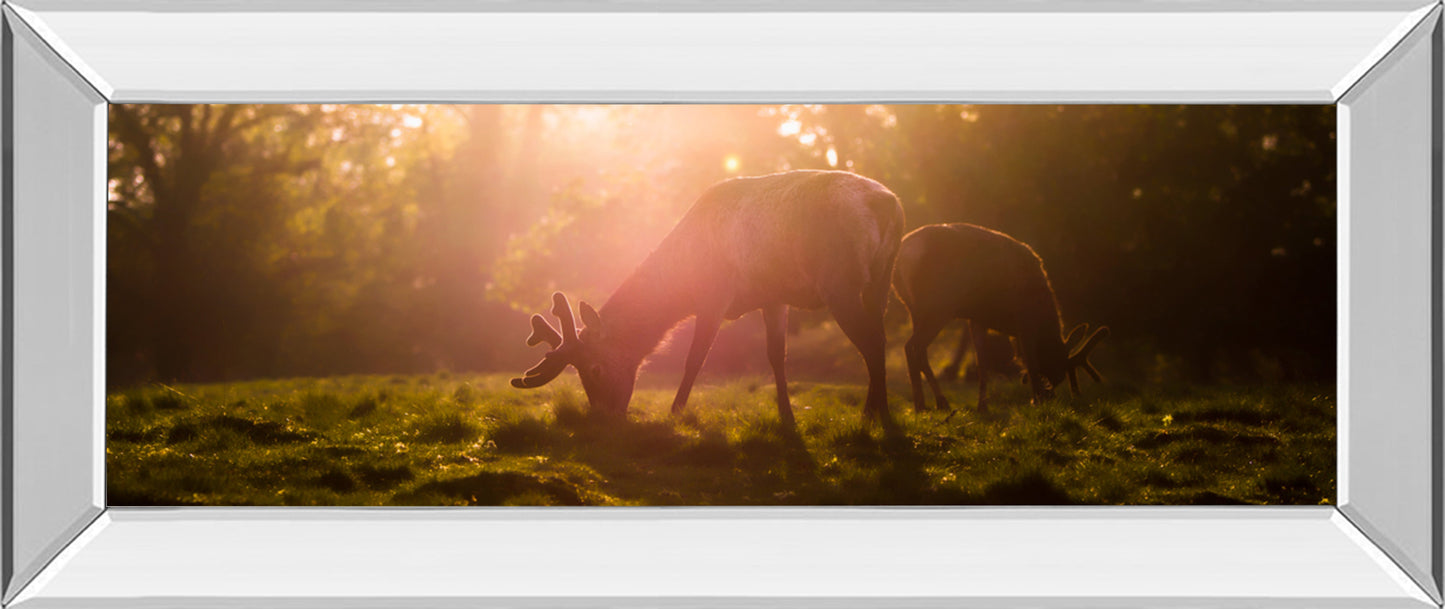 Mirrored Frame Morning Haze By Joe Reynolds