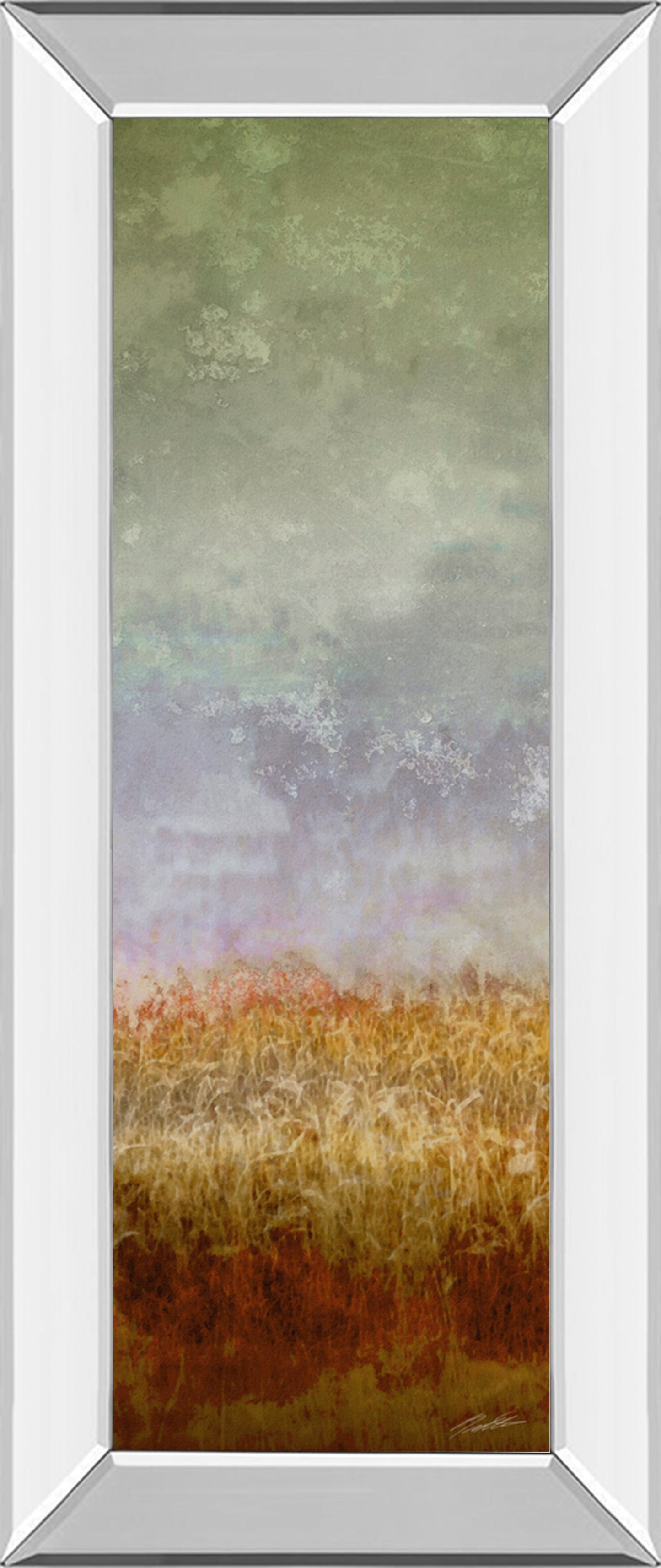 Mirrored Frame Lush Field II By John Butler