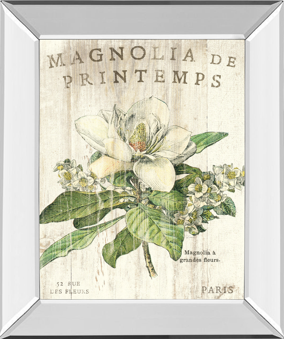 Mirrored Frame Magnolia De Printemps By Sue Schlabach