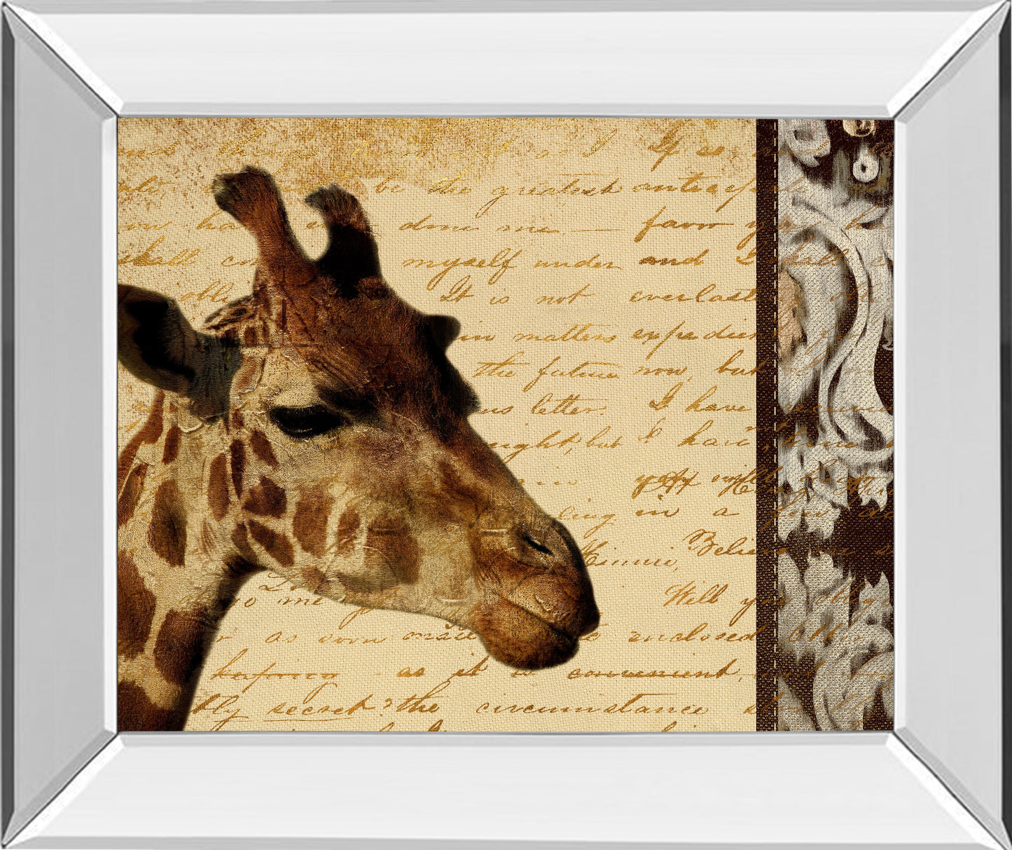 Mirrored Frame Madagascar Safari I By Patricia Pinto