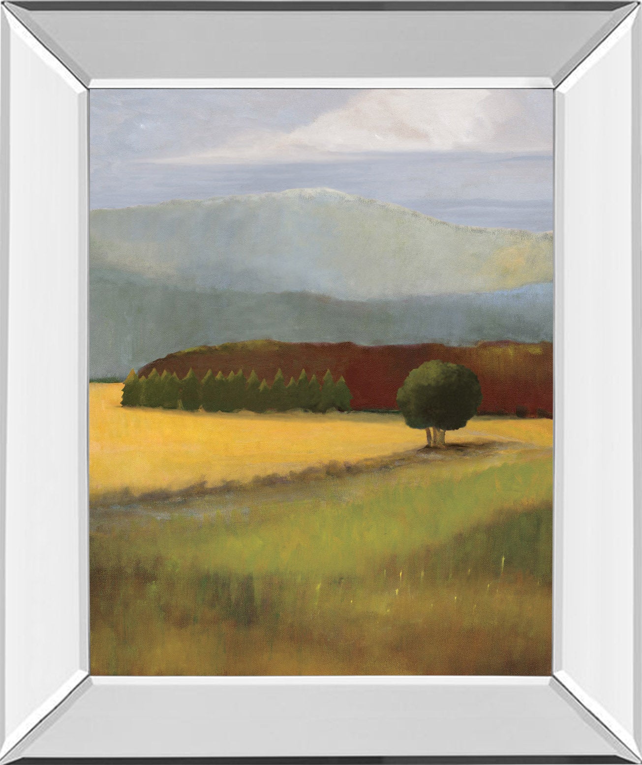 Field Of Gold By Judith D'Agostino