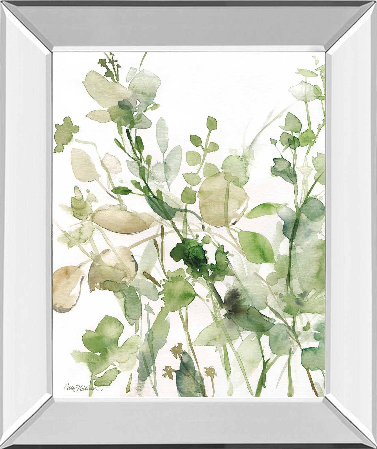 Sage Garden II By Carol Robinson