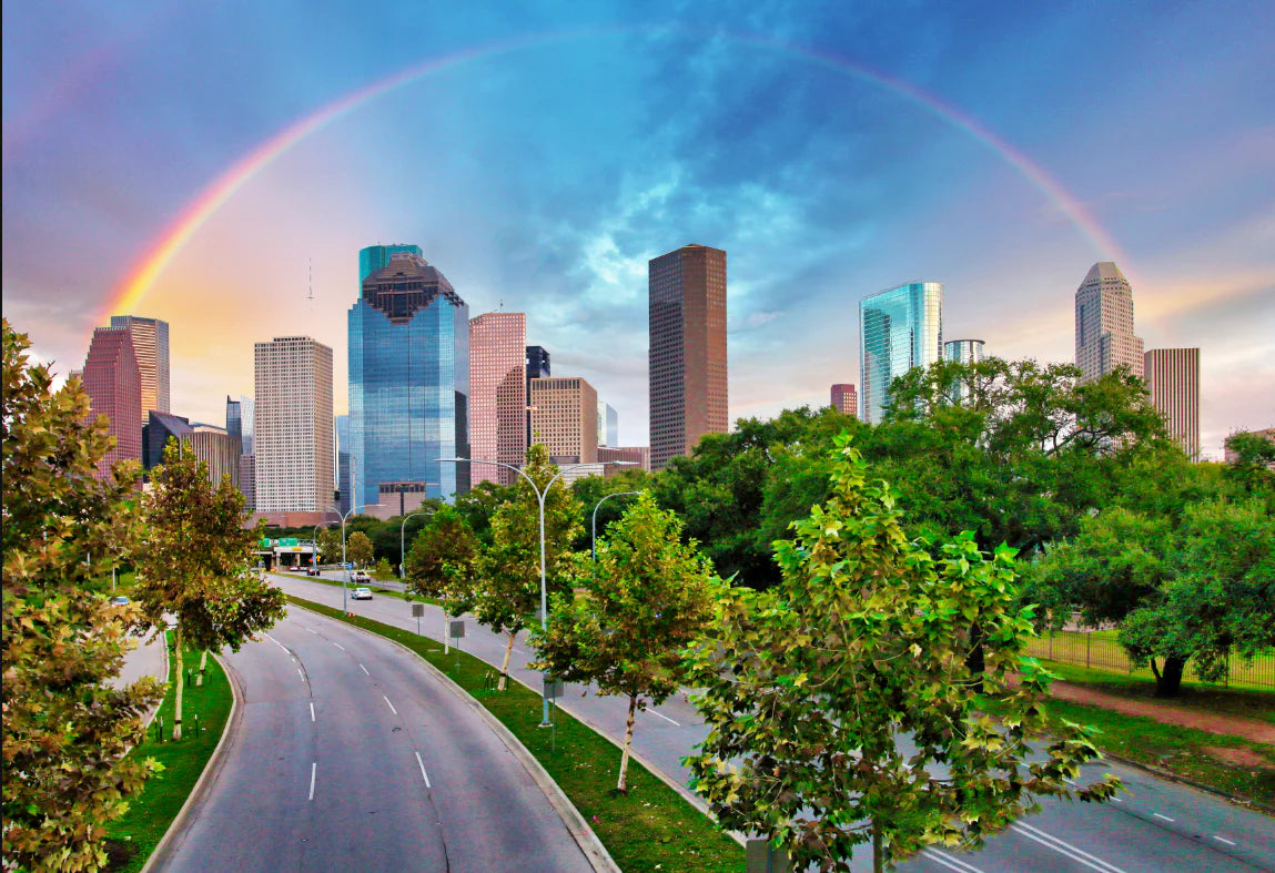 Cityscape Rainbow Assorted Canvas 36" x 48"