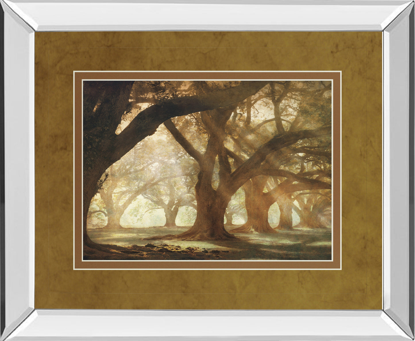Mirrored Frame Oak Alley Morning Light By William Guion