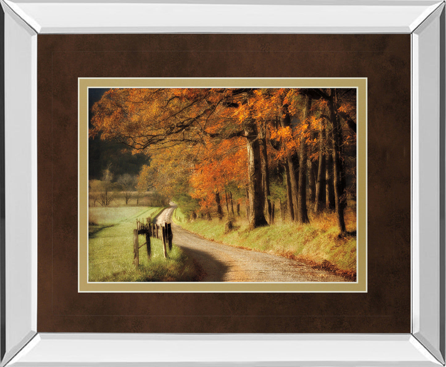 Mirrored Frame Autumns Morning Light By D. Burt