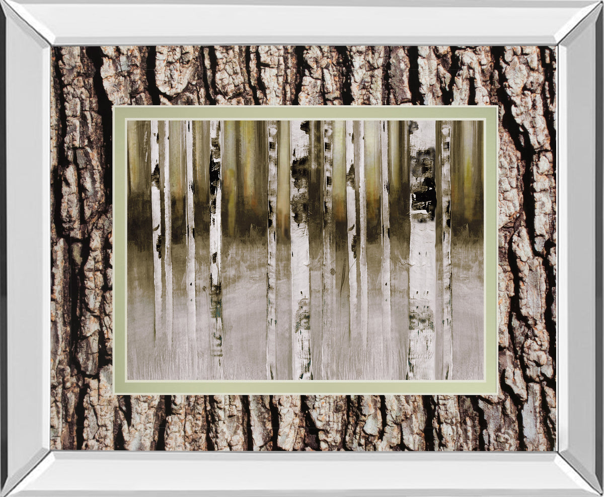 Mirrored Frame Fern Creek By Susan Jill