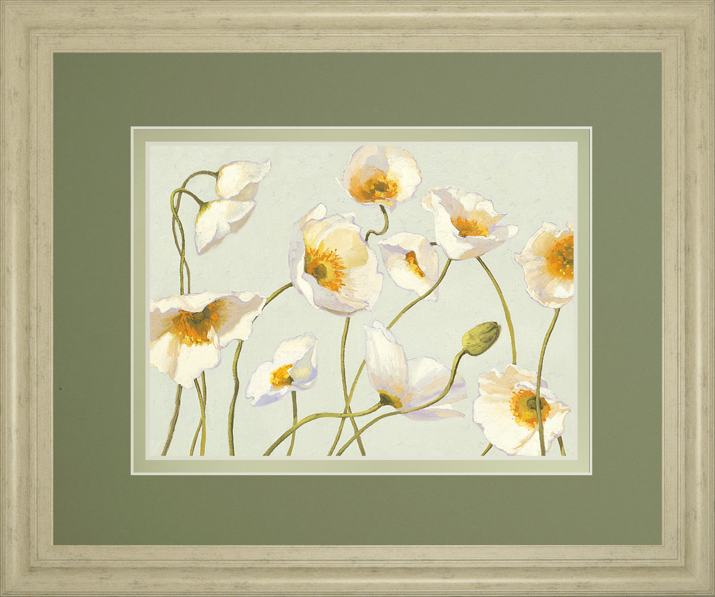 White Bright Poppies By Novak