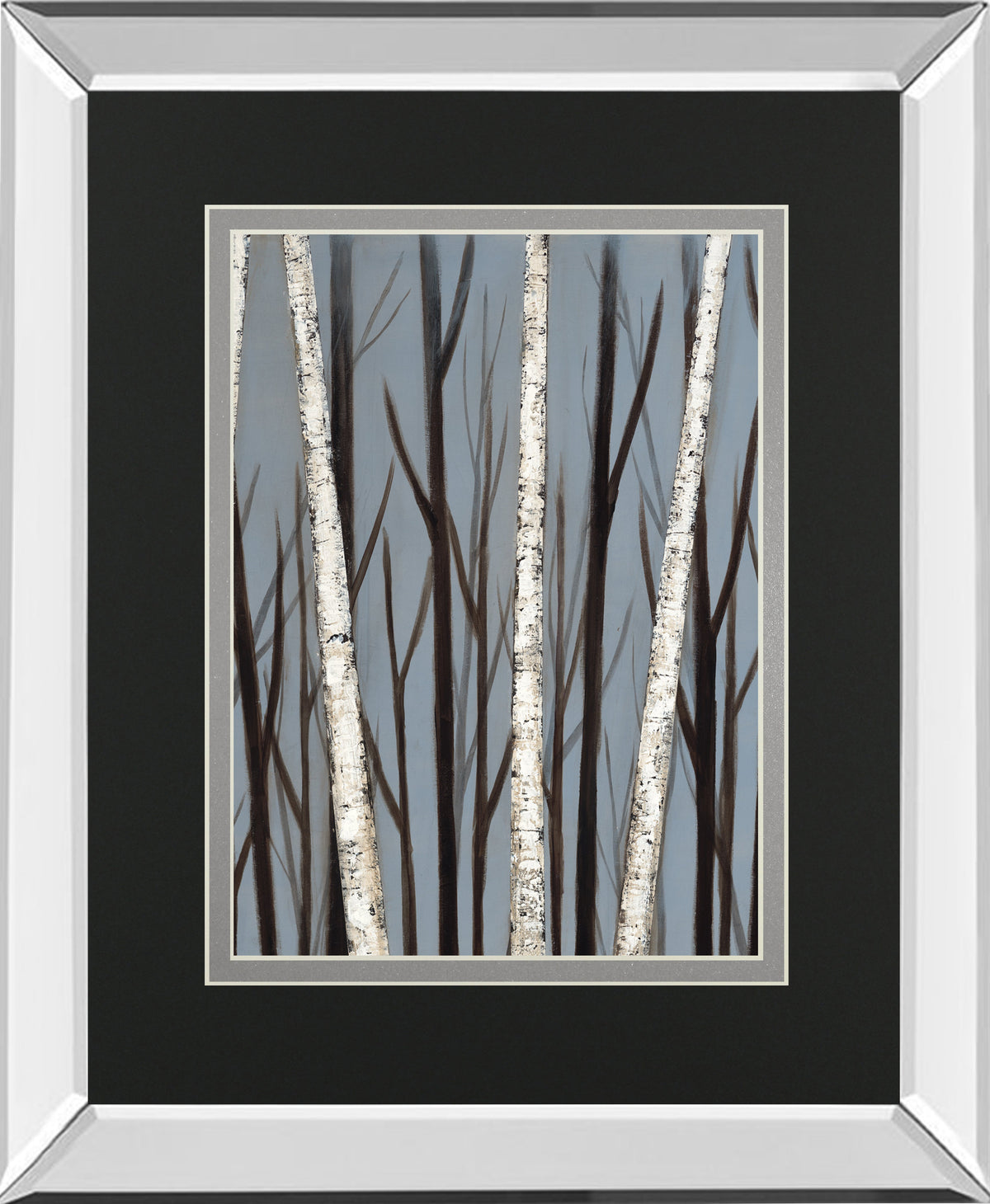 Birch Shadows By Eve