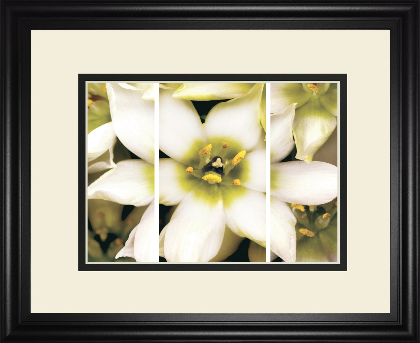 Star Of Bethlehem Triptych By Levine, A.