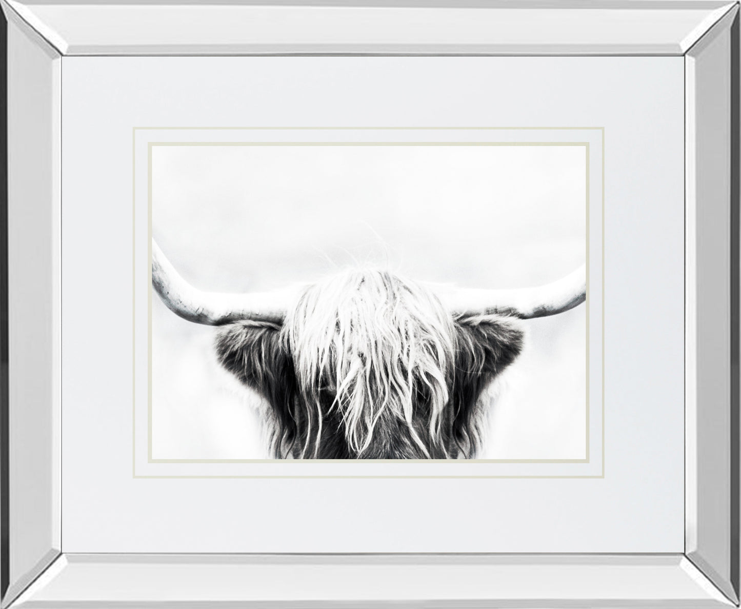 Mirrored Frame Longhorn BY Danita Delimont