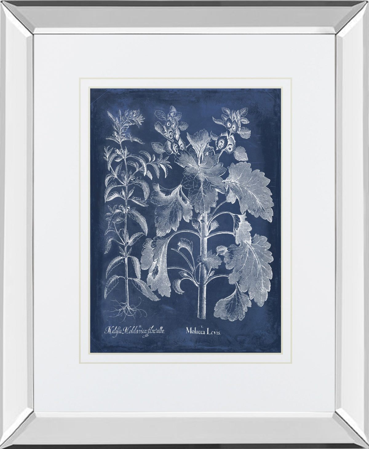 Mirrored Frame Besler Leaves in Indigo I BY Vision Studio
