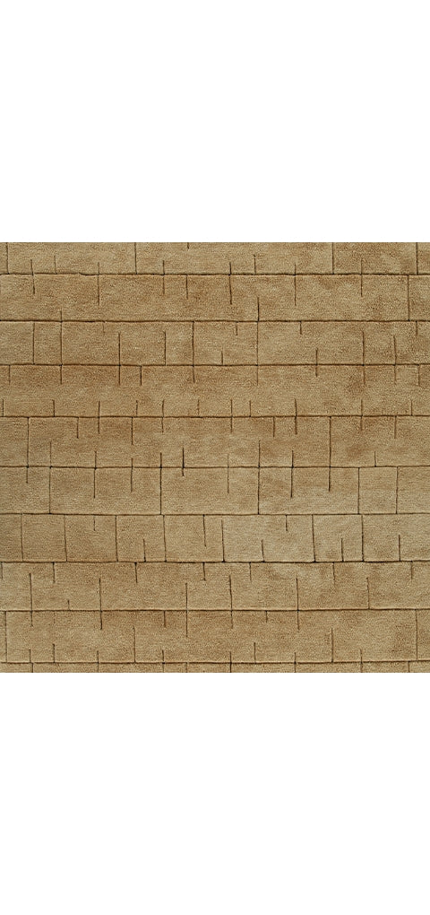Luzmont Extra Large Rug