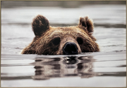 Silent Watch Canvas in Frame
