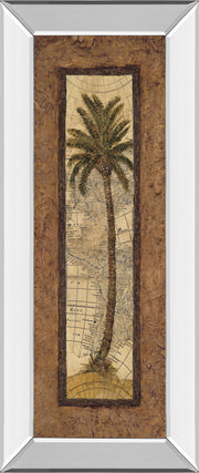 Mirrored Frame Global View II By Charlene Olson