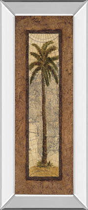 Mirrored Frame Global View II By Charlene Olson