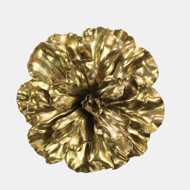 Gold Wall Flower