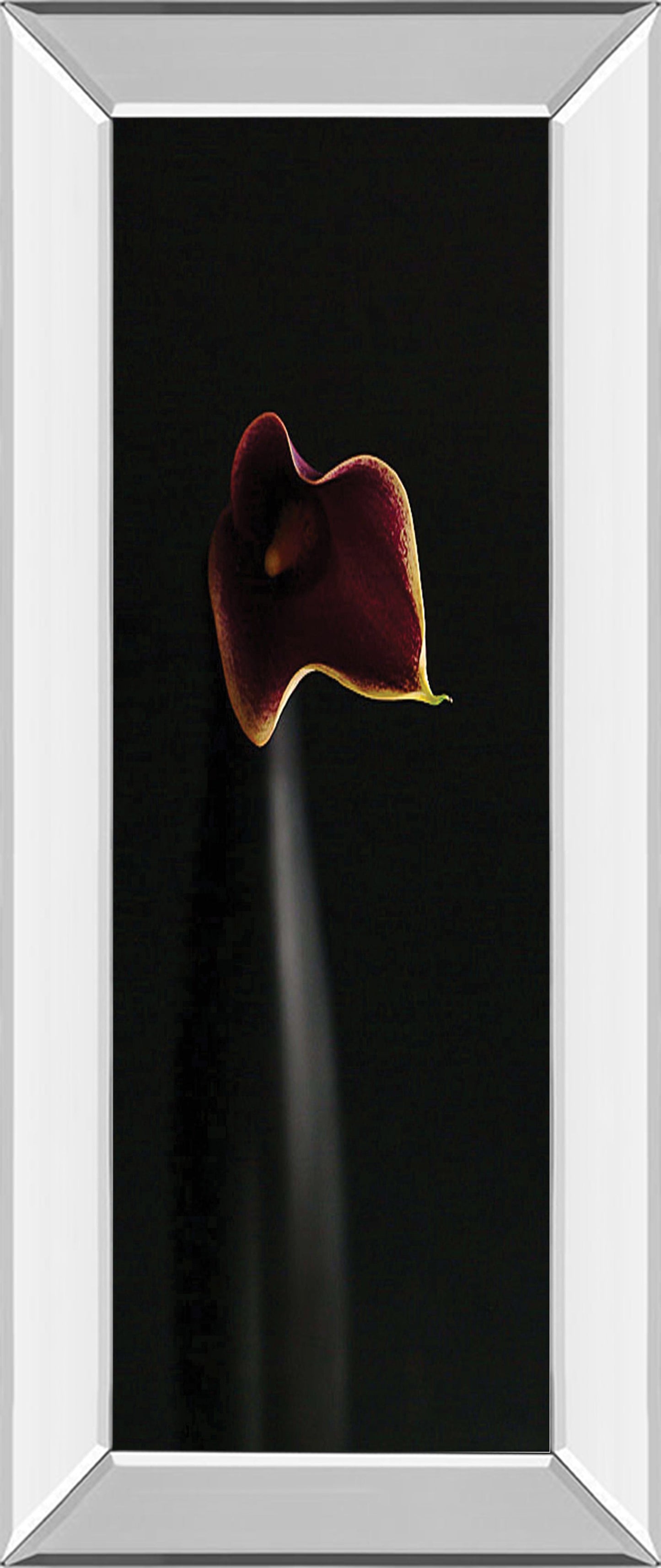 Mirrored Frame Calla In Ebony By Steven Mitchell