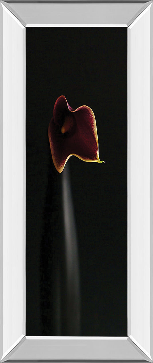 Mirrored Frame Calla In Ebony By Steven Mitchell
