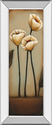 Mirrored Frame Jardin De Flores II By H.Alves