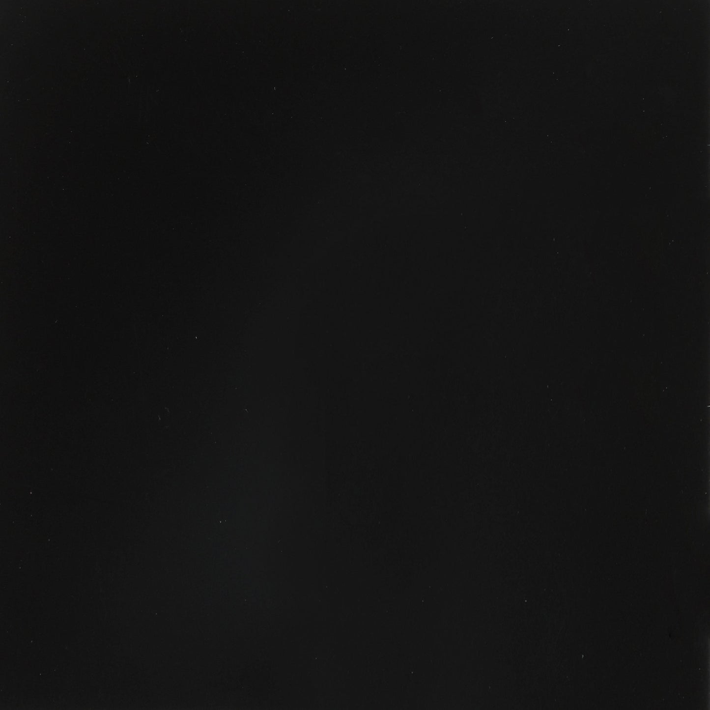 Pippa Metal Link Spring Black