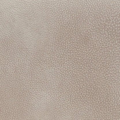 4Z-Serenity Zone Power Lift Recliner