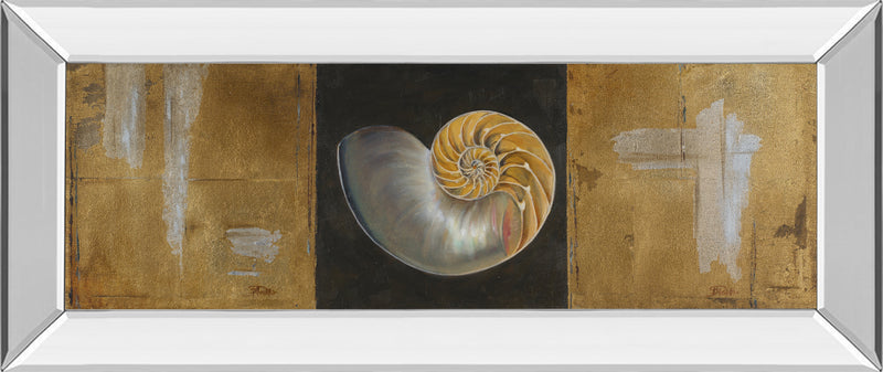 Mirrored Frame Seashells II By Patricia Pinto