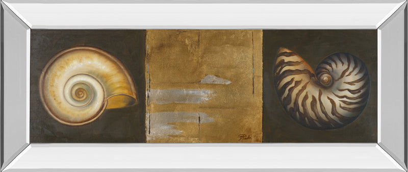 Mirrored Frame Seashells I By Patricia Pinto