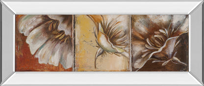 Mirrored Frame The Three Poppies II By Patricia Pinto