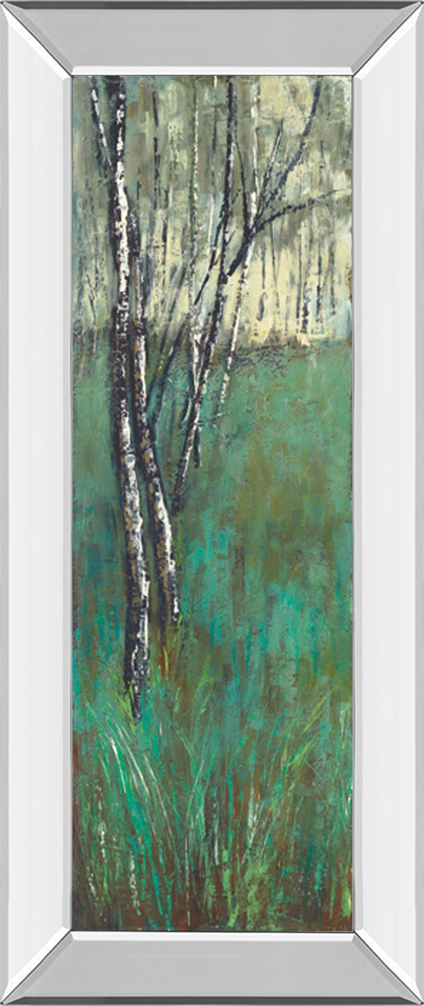Mirrored Frame Nature Companion I By Solis