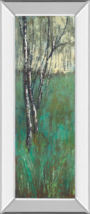 Mirrored Frame Nature Companion I By Solis