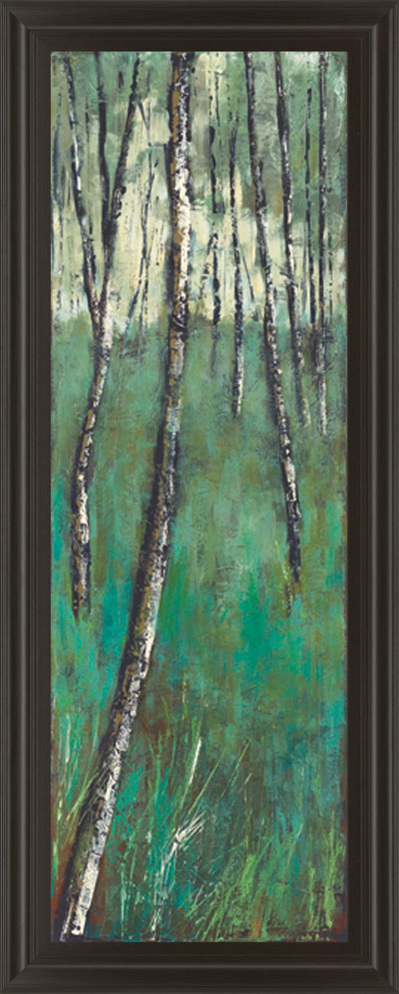 Nature Companion II By Solis