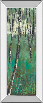 Mirrored Frame Nature Companion II By Solis