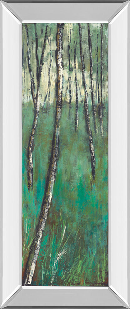 Mirrored Frame Nature Companion II By Solis