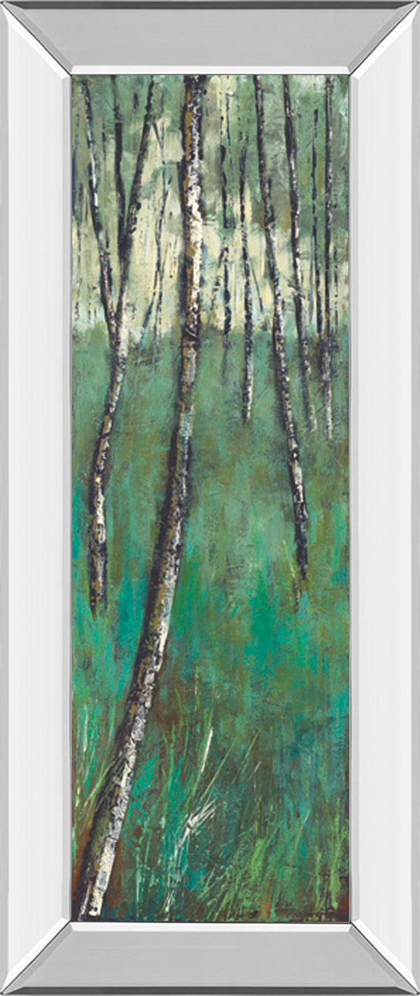 Mirrored Frame Nature Companion II By Solis
