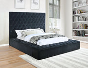 Elegante Black Upholstered Platform Bed with Tufting