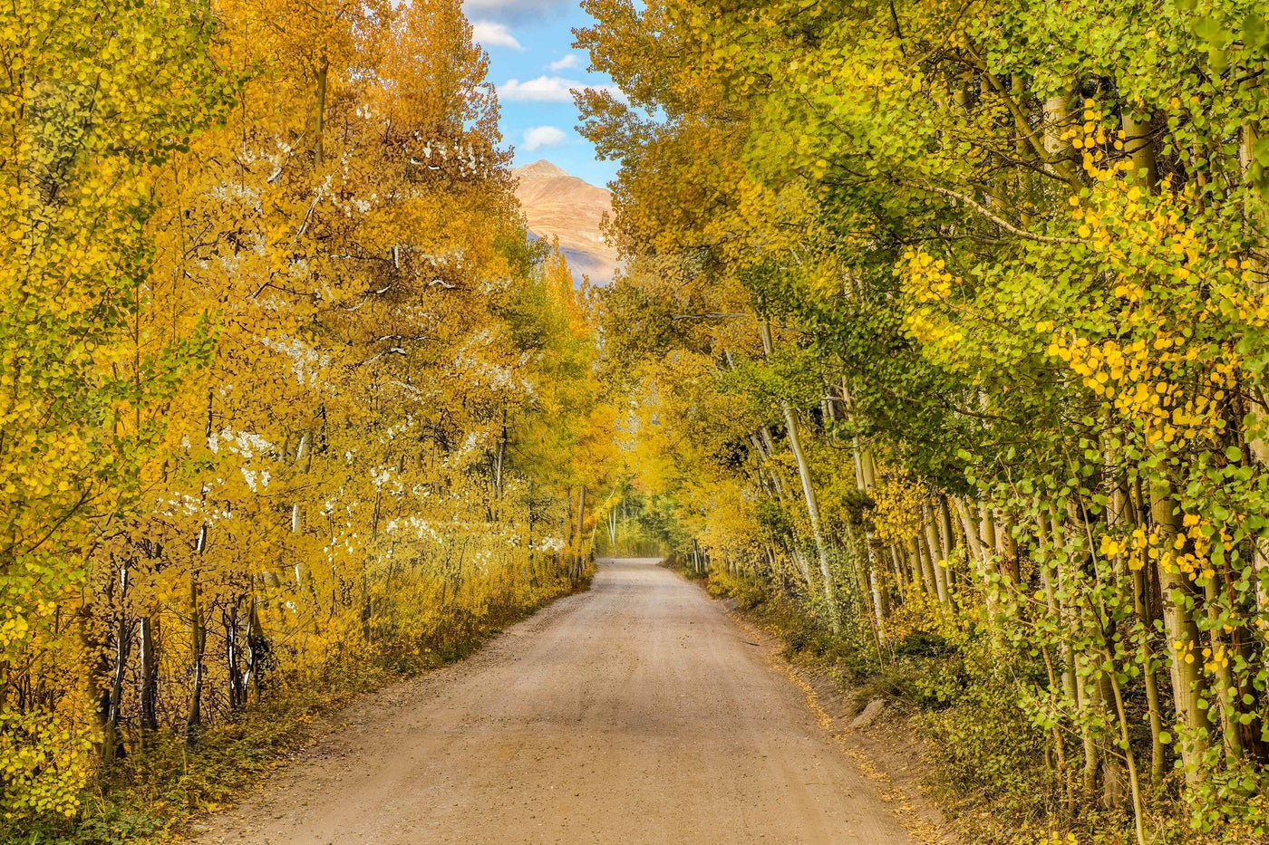 ''Aspen Road'' Tempered Glass