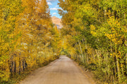 ''Aspen Road'' Tempered Glass