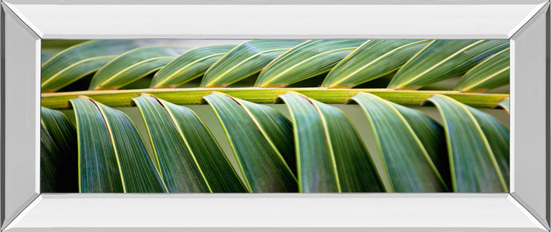 Mirrored Frame Palma I By Susan Bryant