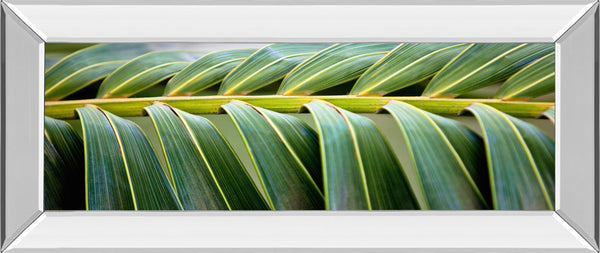 Mirrored Frame Palma I By Susan Bryant