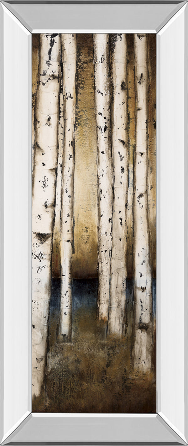 Mirrored Frame Birch Landing III By St Germain ***Monl***