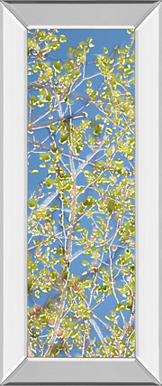 Mirrored Frame Spring Poplars I By Sharon Chandler
