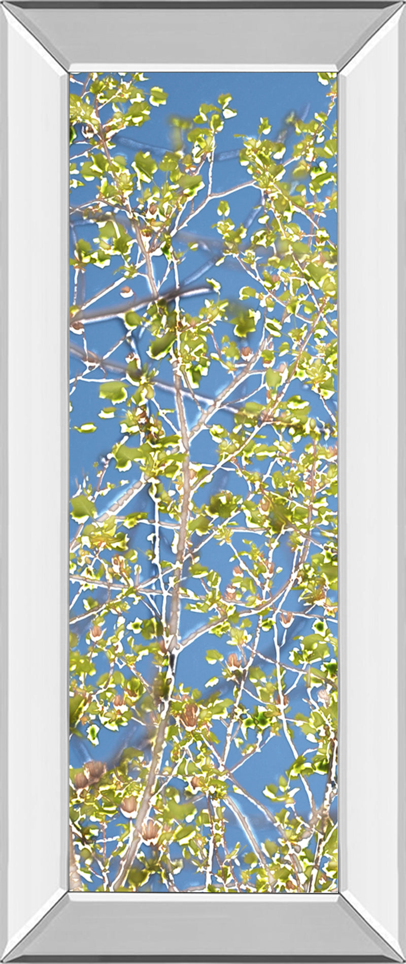 Mirrored Frame Spring Poplars I By Sharon Chandler