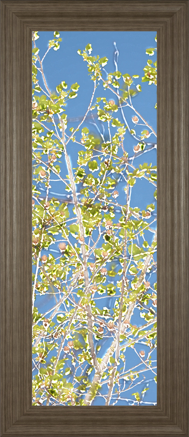 Spring Poplars II By Sharon Chandler